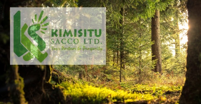 How to Join Kimisitu Sacco [2022]